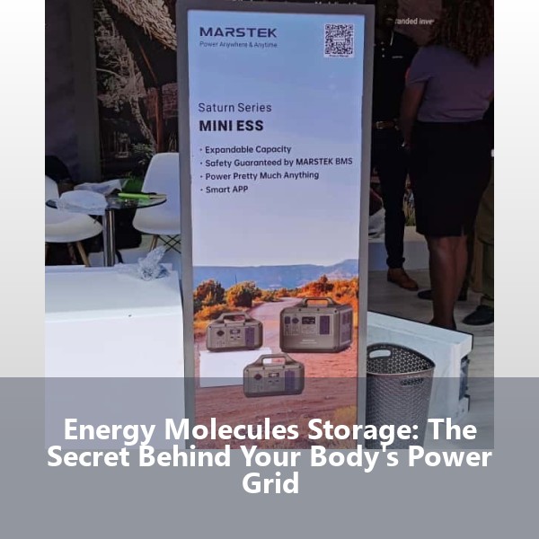 Energy Molecules Storage: The Secret Behind Your Body's Power Grid